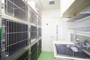 冷暖房完備の犬入院室