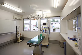 広い手術室では、様々な手術を行っています
