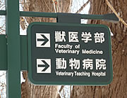 北海道大学のキャンパス内にある動物病院