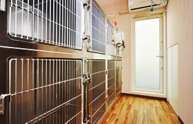 快適に過ごせる入院室は、犬用・猫用の2部屋ございます