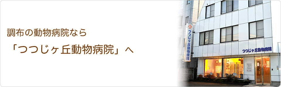 つつじヶ丘動物病院 東京都調布市東つつじヶ丘